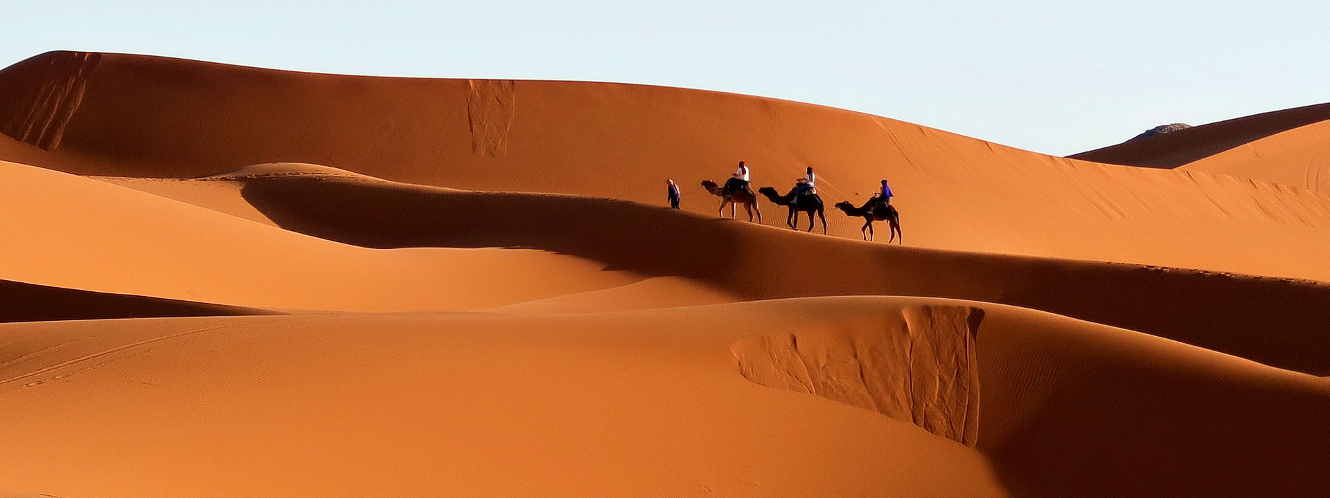 Sahara
